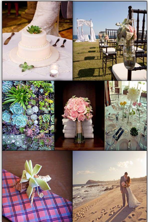  Cabo Wedding Centerpieces Destination Wedding Floral Designer 